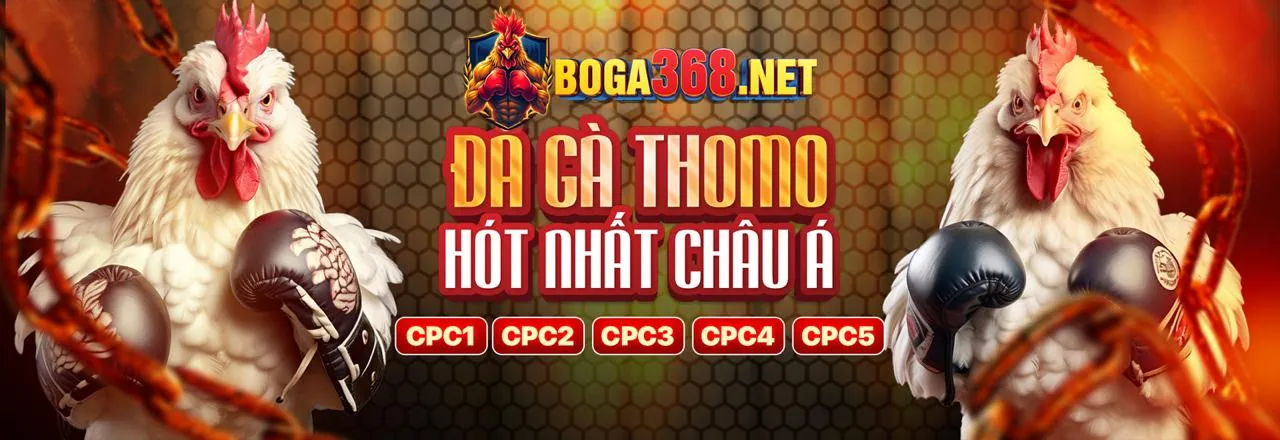 Đá gà trực tuyến hấp dẫn tại ji88 win